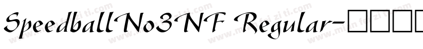 SpeedballNo3NF Regular字体转换